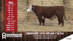 Lot #95J - SNOWSHOE 101F OUTLAW C16 95J