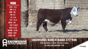 Lot #90K - SNOWSHOE RANCH HAND Z77 90K