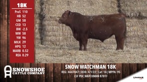 Lot #RA18K - SNOW WATCHMAN 18K