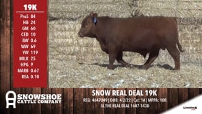 Lot #RA19K - SNOW REAL DEAL 19K
