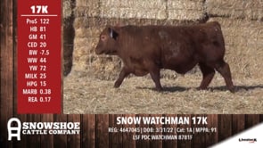 Lot #RA17K - SNOW WATCHMAN 17K