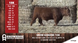 Lot #RA15K - SNOW GENUINE 15K