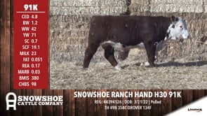 Lot #91K - SNOWSHOE RANCH HAND H30 91K