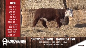 Lot #89K - SNOWSHOE RANCH HAND F04 89K