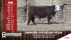 Lot #83K - SNOWSHOE 101F OUTLAW Y52 83K