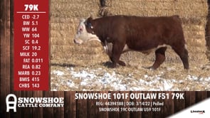 Lot #79K - SNOWSHOE 101F OUTLAW F51 79K