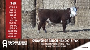Lot #76K - SNOWSHOE RANCH HAND C16 76K