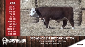 Lot #75K - SNOWSHOE 81E HISTORIC H57 75K