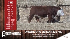 Lot #71K - SNOWSHOE 19C VIGILANTE F26 71K