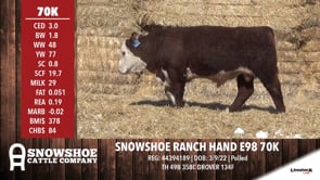 Lot #70K - SNOWSHOE RANCH HAND E98 70K