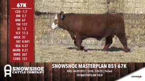 Lot #67K - SNOWSHOE MASTERPLAN B51 67K