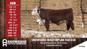 Lot #65K - SNOWSHOE MASTERPLAN F60 65K