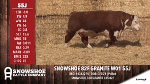 Lot #55J - SNOWSHOE 82F GRANITE W01 55J