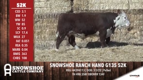 Lot #52K - SNOWSHOE RANCH HAND G135 52K