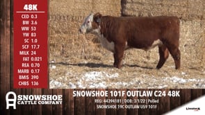 Lot #48K - SNOWSHOE 101F OUTLAW C24 48K