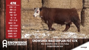 Lot #47K - SNOWSHOE MASTERPLAN F07 47K