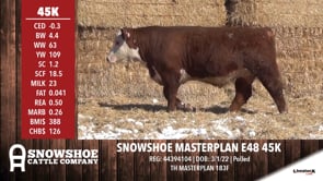Lot #45K - SNOWSHOE MASTERPLAN E48 45K