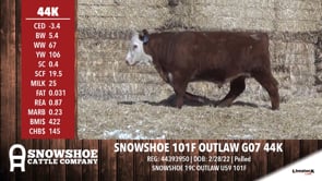 Lot #44K - SNOWSHOE 101F OUTLAW G07 44K