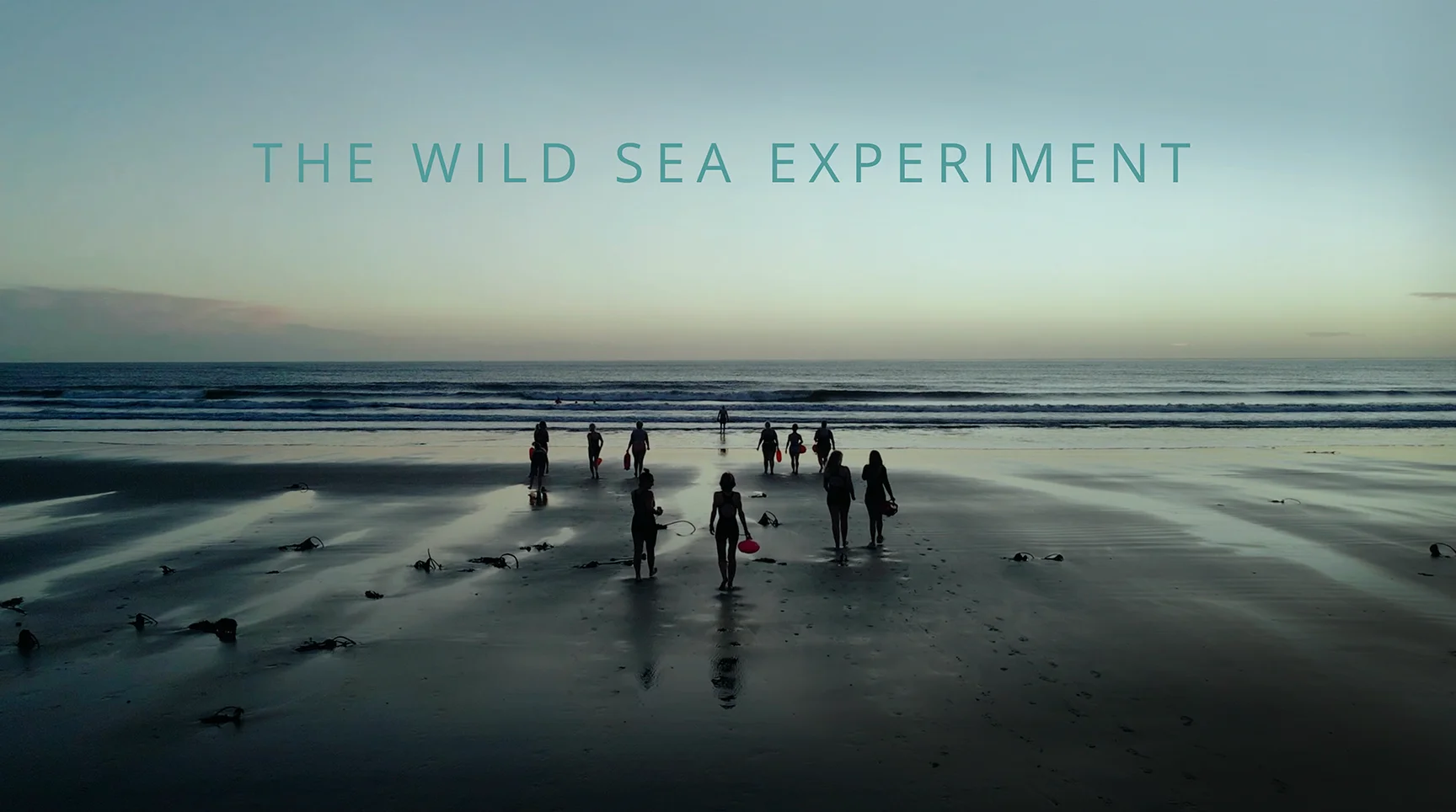 The Wild Sea Experiment on Vimeo