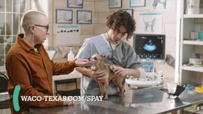 Spay, Neuter and Microchip PSA