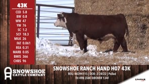 Lot #43K - SNOWSHOE RANCH HAND H07 43K