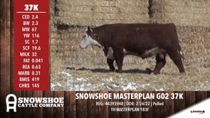 Lot #37K - SNOWSHOE MASTERPLAN G02 37K