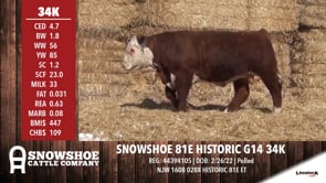 Lot #34K - SNOWSHOE 81E HISTORIC G14 34K
