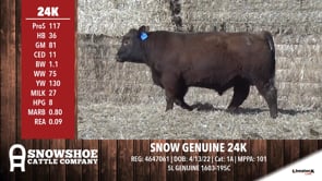 Lot #RA24K - SNOW GENUINE 24K