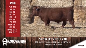 Lot #RA23K - SNOW LET'S ROLL 23K
