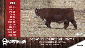 Lot #21K - SNOWSHOE 81E HISTORIC H26 21K