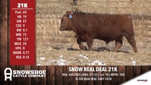 Lot #RA21K - SNOW REAL DEAL 21K