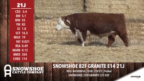 Lot #21J - SNOWSHOE 82F GRANITE E14 21J