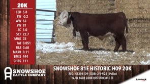 Lot #20K - SNOWSHOE 81E HISTORIC H09 20K