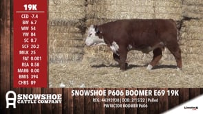 Lot #19K - SNOWSHOE P606 BOOMER E69 19K