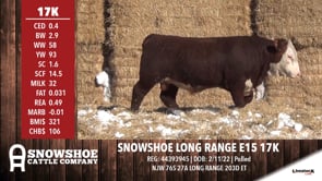 Lot #17K - SNOWSHOE LONG RANGE E15 17K