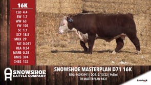 Lot #16K - SNOWSHOE MASTERPLAN D71 16K