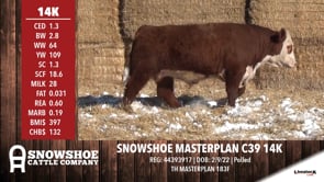Lot #14K - SNOWSHOE MASTERPLAN C39 14K