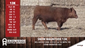 Lot #RA13K - OUT--- SNOW MAGNITUDE 13K ---OUT