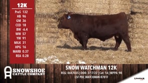 Lot #RA12K - SNOW WATCHMAN 12K