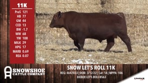 Lot #RA11K - SNOW LET'S ROLL 11K