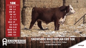 Lot #10K - SNOWSHOE MASTERPLAN E89 10K