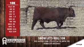 Lot #RA10K - SNOW LET'S ROLL 10K