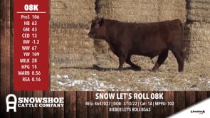 Lot #RA08K - SNOW LET'S ROLL 08K
