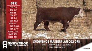 Lot #07K - SNOWSHOE MASTERPLAN C03 07K