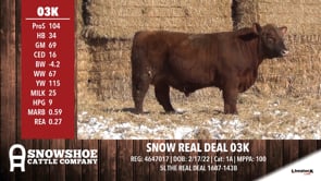 Lot #RA03K - SNOW REAL DEAL 03K