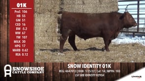 Lot #RA01K - SNOW IDENTITY 01K