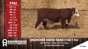 Lot #174J - SNOWSHOE RANCH HAND E104 174J
