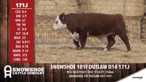 Lot #171J - SNOWSHOE 101F OUTLAW D14 171J