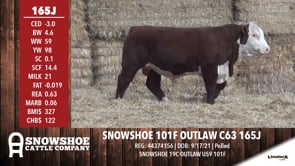Lot #165J - SNOWSHOE 101F OUTLAW C63 165J