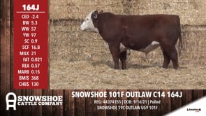 Lot #164J - SNOWSHOE 101F OUTLAW C14 164J